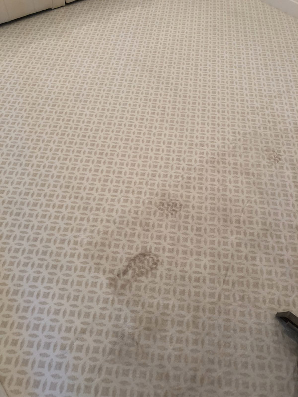 Photos Prestige Carpet & Tile